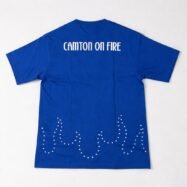 Camton on fire Back Printed Half Sleeve T-shirt - Blue2
