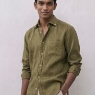 Olive-1